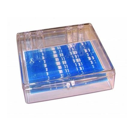 Gary Plastic Mini Blotting Containers, Clear, 11.5x11.5x3.5, 6/PK 248714